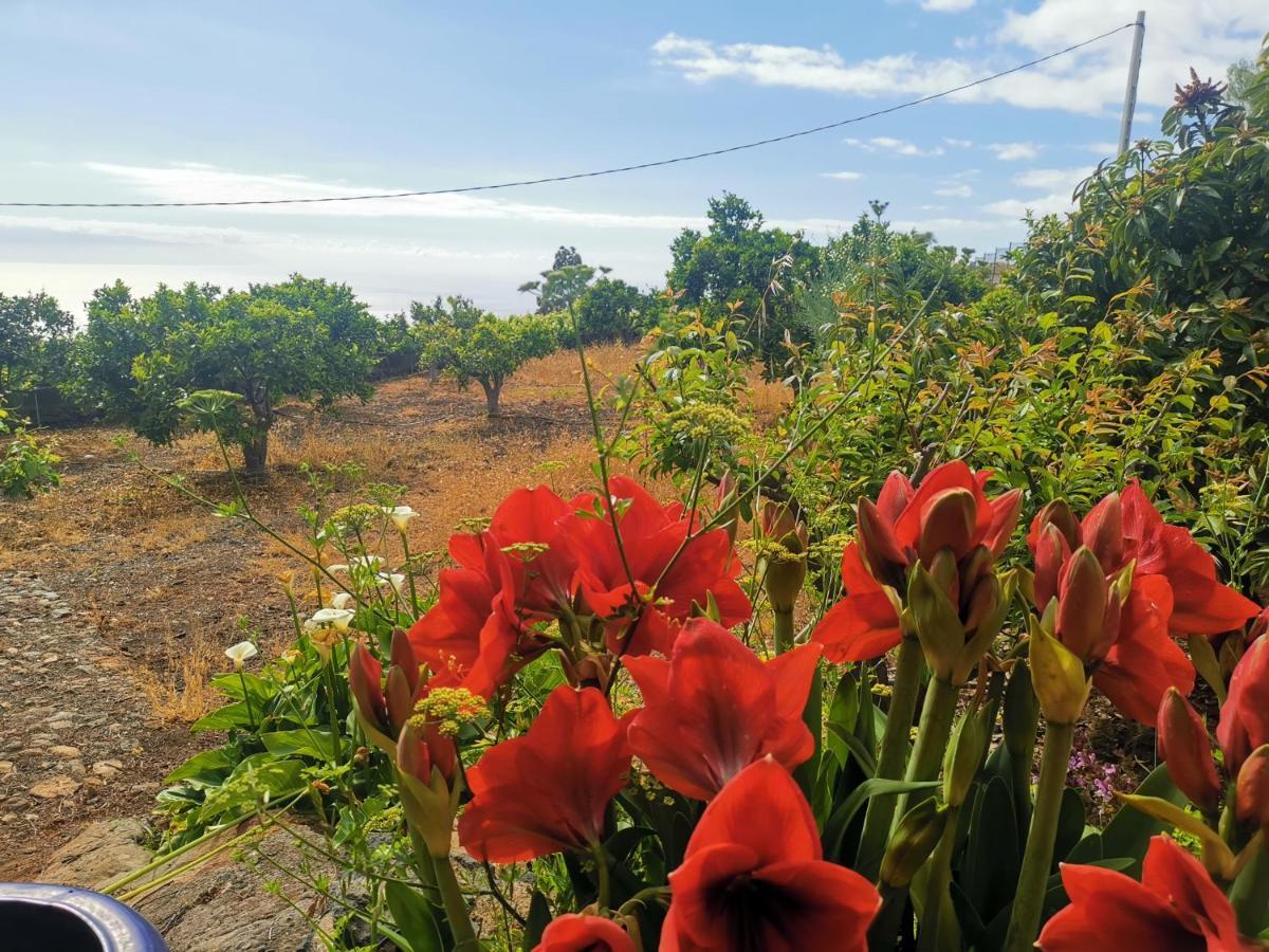 Casa Rural Dolores En Adeje Costa Adeje  Bagian luar foto