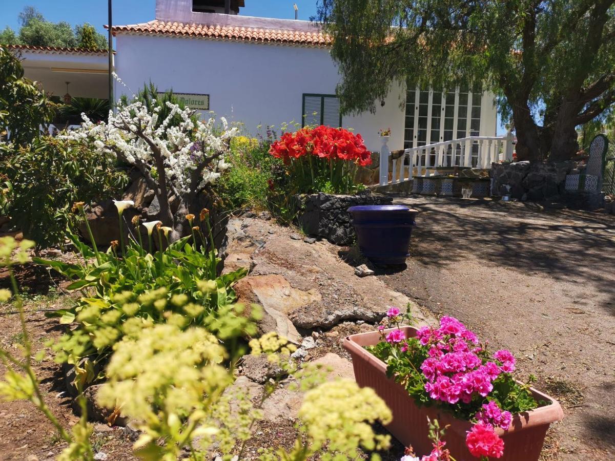 Casa Rural Dolores En Adeje Costa Adeje  Bagian luar foto